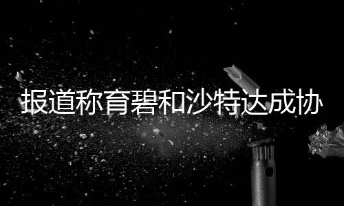 報道稱育碧和沙特達(dá)成協(xié)議開發(fā)《刺客信條：幻景》新內(nèi)容 育碧拒絕置評