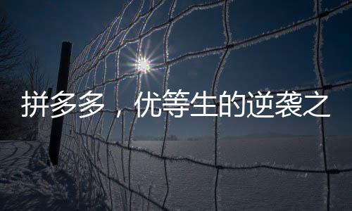 拼多多，優(yōu)等生的逆襲之路——沒考好的優(yōu)等生仍舊被偏愛