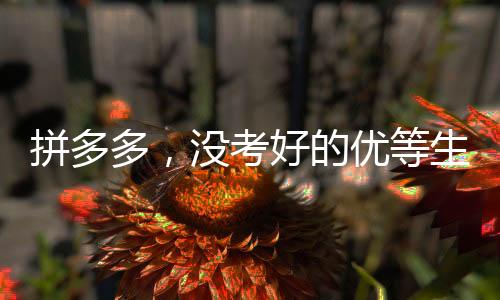 拼多多，沒考好的優(yōu)等生仍舊被偏愛