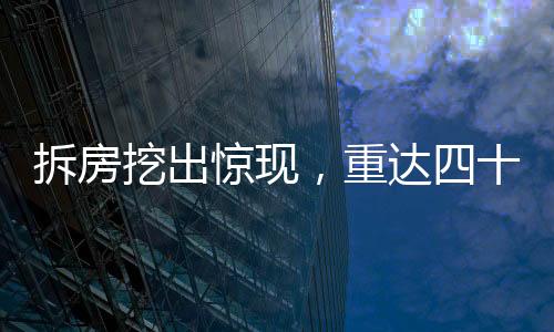 拆房挖出驚現(xiàn)，重達(dá)四十斤娃娃魚(yú)傳奇故事