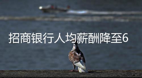 招商銀行人均薪酬降至60萬元以內(nèi)，重塑行業(yè)薪酬結(jié)構(gòu)探析