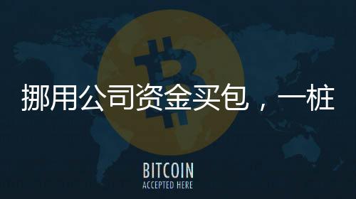 挪用公司資金買包，一樁觸目驚心的商業(yè)犯罪事件