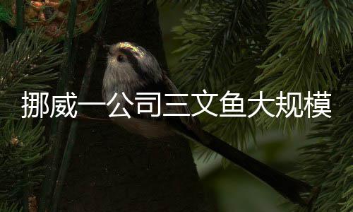挪威一公司三文魚大規(guī)模出逃，引發(fā)業(yè)界關(guān)注
