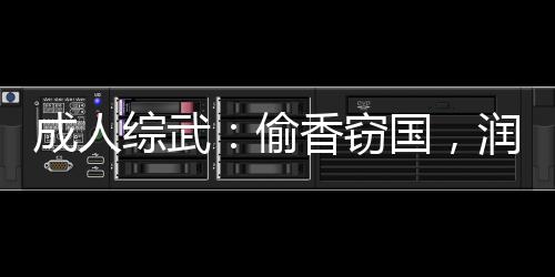 成人綜武：偷香竊國，潤爆女俠們