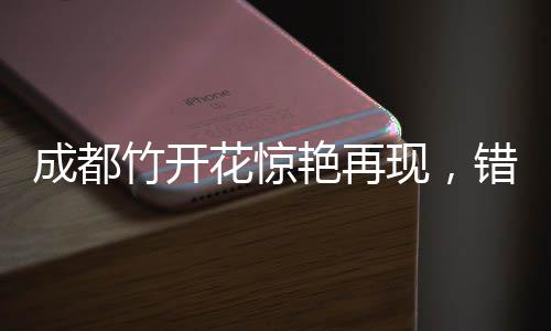成都竹開花驚艷再現(xiàn)，錯過再需漫長時光——千載難逢奇觀詳細(xì)解讀