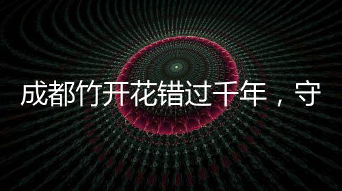 成都竹開花錯過千年，守望歲月的啟示再度傳承。追尋時光之謎的見證者。自千百年前開始，一種美麗的景象已在世人傳頌，那便是成都竹子的開花盛景。如今，這個珍貴的時刻再度來臨，但錯過這次等待或許就要再等上漫長的六十年。這不僅僅是一場自然奇觀，更是關于人與自然和諧共生的深刻寓言。下面讓我們一起走進這個充滿故事與等待的世界。