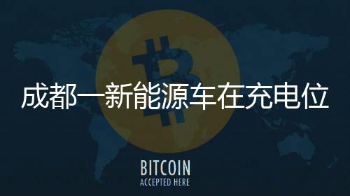 成都一新能源車在充電位上起火事件揭秘，事故起因、應(yīng)對(duì)與反思