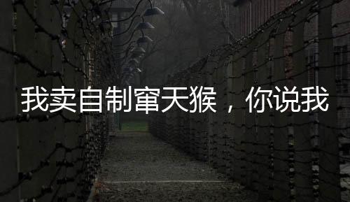 我賣(mài)自制竄天猴，你說(shuō)我賣(mài)軍火？