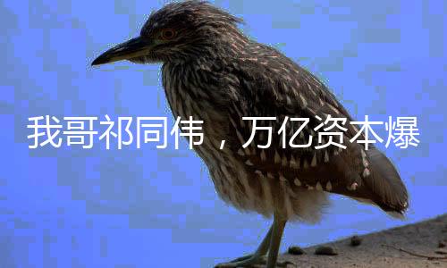我哥祁同偉，萬億資本爆殺鐘小艾