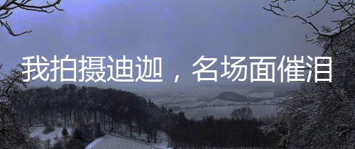 我拍攝迪迦，名場(chǎng)面催淚全網(wǎng)！