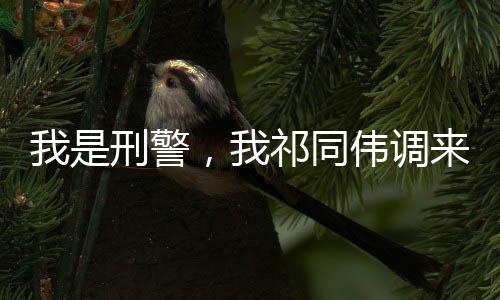 我是刑警，我祁同偉調(diào)來了
