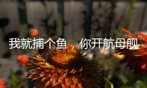 我就捕個(gè)魚(yú)，你開(kāi)航母艦隊(duì)追我？