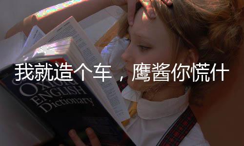 我就造個車，鷹醬你慌什么？