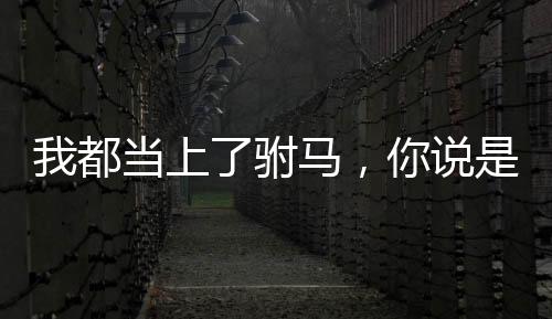 我都當(dāng)上了駙馬，你說是西游？