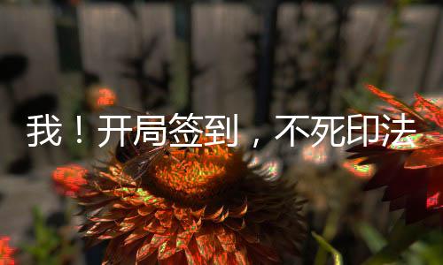 我！開局簽到，不死印法滿級