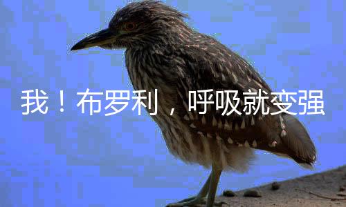 我！布羅利，呼吸就變強(qiáng)！