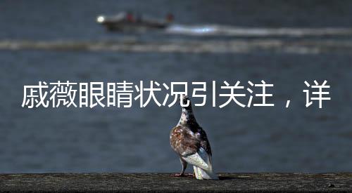戚薇眼睛狀況引關(guān)注，詳細(xì)解析及最新消息