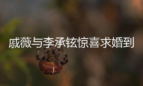 戚薇與李承鉉驚喜求婚到結(jié)婚，愛情長跑終圓滿