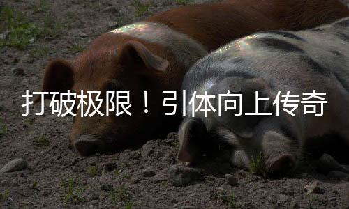 打破極限！引體向上傳奇，一位年輕女孩刷新世界紀錄！
