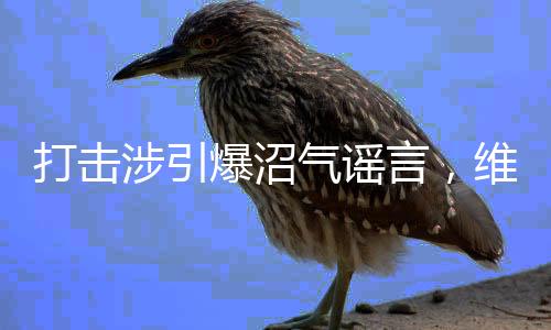 打擊涉引爆沼氣謠言，維護社會和諧穩(wěn)定