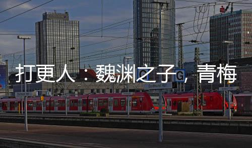 打更人：魏淵之子，青梅平陽郡主