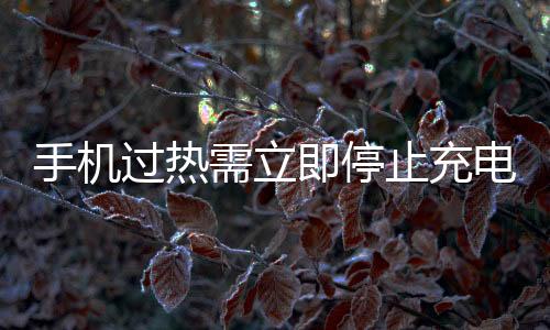手機(jī)過熱需立即停止充電，防范潛在風(fēng)險(xiǎn)，保護(hù)用戶安全