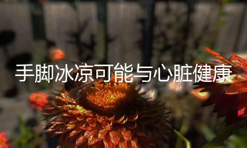 手腳冰涼可能與心臟健康有關(guān)，深入解析原因及應(yīng)對(duì)措施