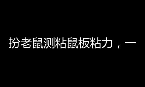扮老鼠測粘鼠板粘力，一場別開生面的實(shí)驗(yàn)之旅