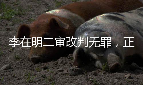 李在明二審改判無罪，正義的勝利還是法律的反思