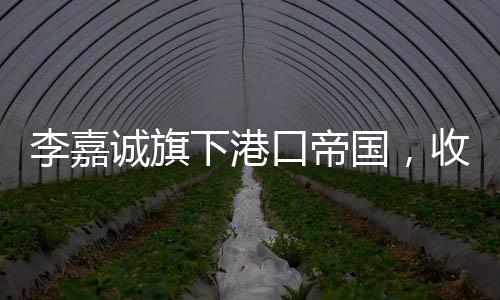 李嘉誠(chéng)旗下港口帝國(guó)，收入概覽與商業(yè)版圖擴(kuò)展