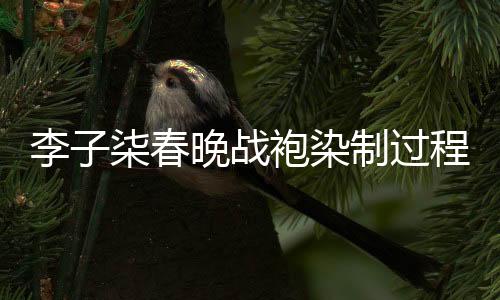 李子柒春晚戰(zhàn)袍染制過程揭秘，兩天匠心獨運，展現(xiàn)傳統(tǒng)文化魅力