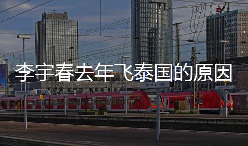 李宇春去年飛泰國(guó)的原因找到了