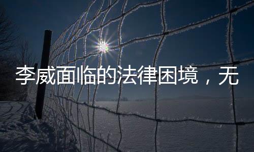 李威面臨的法律困境，無期或死刑判決探析