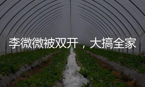 李微微被雙開(kāi)，大搞全家腐