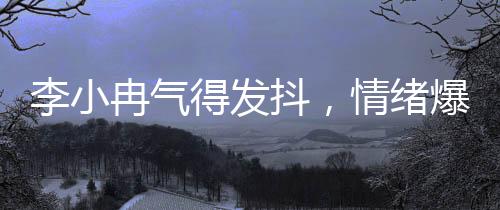 李小冉氣得發(fā)抖，情緒爆發(fā)背后的真相探尋