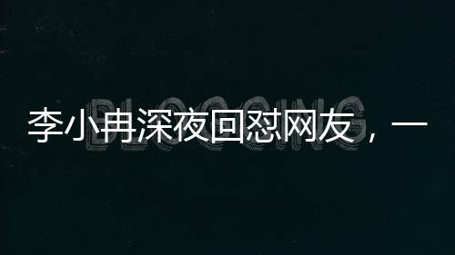 李小冉深夜回懟網(wǎng)友，一場深夜的言論風暴與公眾人物的責任感