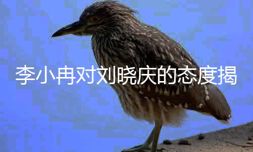 李小冉對(duì)劉曉慶的態(tài)度揭秘，演藝圈內(nèi)部的真實(shí)面孔？