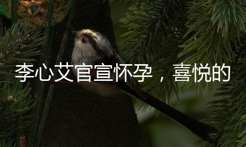 李心艾官宣懷孕，喜悅的官宣背后的小細(xì)節(jié)和熱議背后的靜謐心情