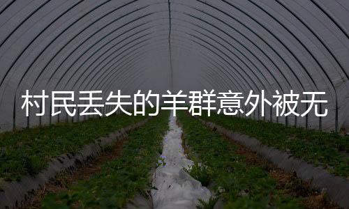 村民丟失的羊群意外被無人機(jī)找回，一段溫馨的人與自然和諧故事