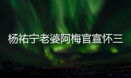 楊祐寧老婆阿梅官宣懷三胎，幸福家庭再添喜訊