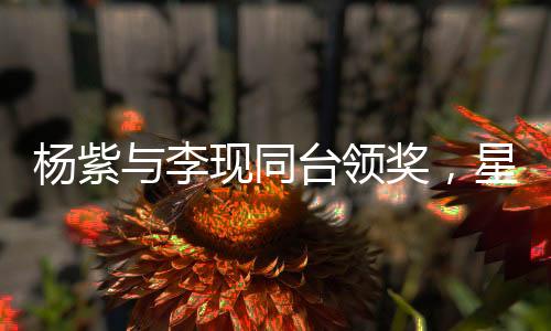 楊紫與李現(xiàn)同臺領獎，星光熠熠的時刻