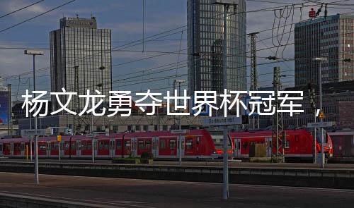 楊文龍勇奪世界杯冠軍，乒乓球榮耀時(shí)刻