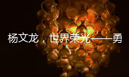 楊文龍，世界榮光——勇奪世界杯冠軍之路