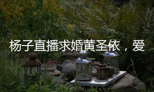 楊子直播求婚黃圣依，愛情與網(wǎng)絡(luò)的完美結(jié)合