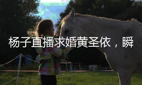 楊子直播求婚黃圣依，瞬間點燃社交媒體熱度的愛情見證儀式