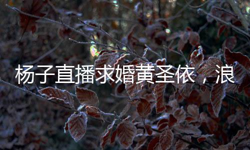 楊子直播求婚黃圣依，浪漫瞬間引發(fā)網(wǎng)友熱議