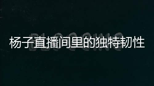 楊子直播間里的獨(dú)特韌性，即便家園已變，也要繼續(xù)直播賣貨