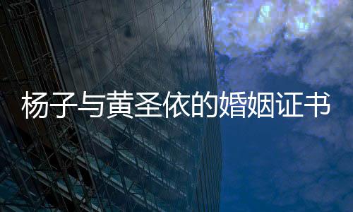 楊子與黃圣依的婚姻證書，揭秘二人的真實(shí)關(guān)系走向