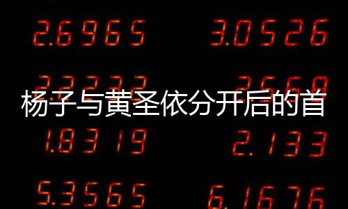 楊子與黃圣依分開(kāi)后的首次同框，時(shí)光流轉(zhuǎn)，情感糾葛成焦點(diǎn)