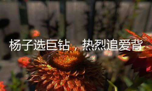 楊子選巨鉆，熱烈追愛背后的珠寶迷案——聚焦黃圣依失而復(fù)得的超級(jí)鉆戒揭秘之旅
